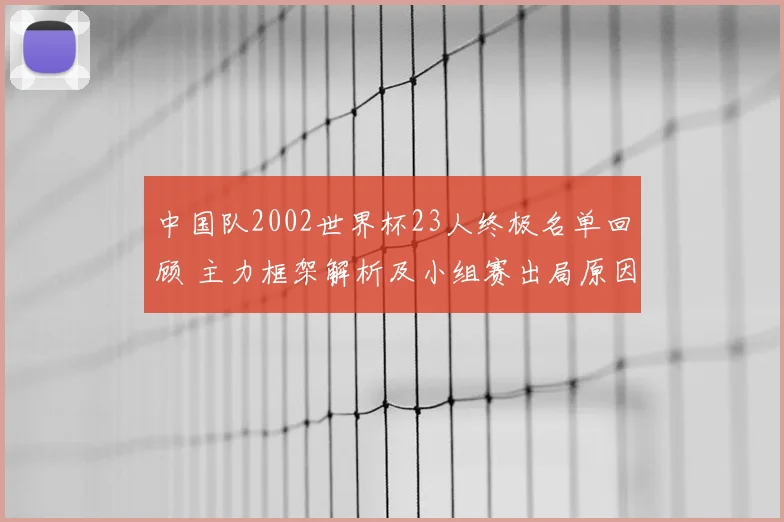 中国队2002世界杯23人终极名单回顾 主力框架解析及小组赛出局原因
