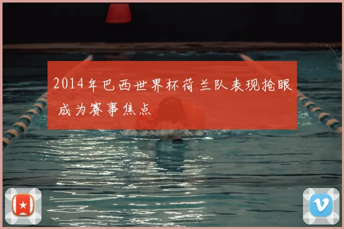 2014年巴西世界杯荷兰队表现抢眼 成为赛事焦点