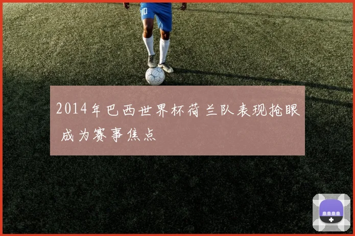 2014年巴西世界杯荷兰队表现抢眼 成为赛事焦点