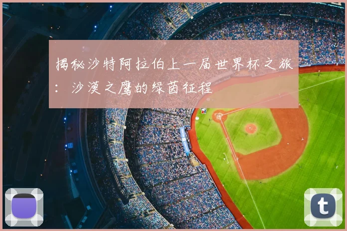 揭秘沙特阿拉伯上一届世界杯之旅：沙漠之鹰的绿茵征程